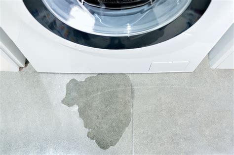 Dryer Leaking Water on the Floor [5 Reasons